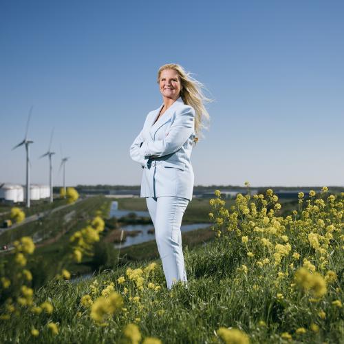 Nieuwsbericht afbeelding betreft Prioritaire investeringsopgave: Landschap, watersysteem en energie-infrastructuur Houtrakpolder
